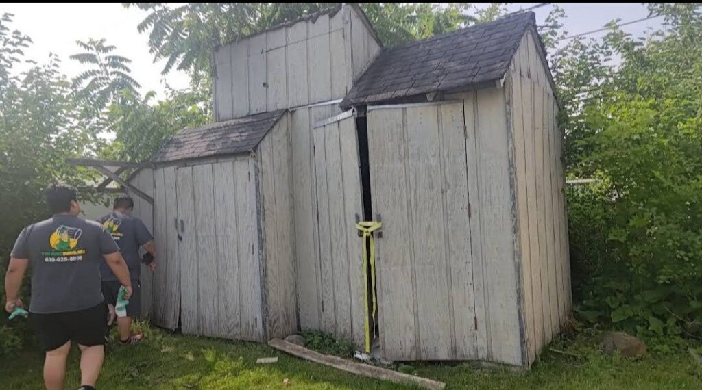 Shed junk removal